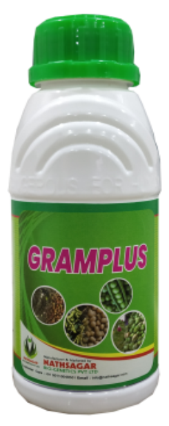GRAM PLUS